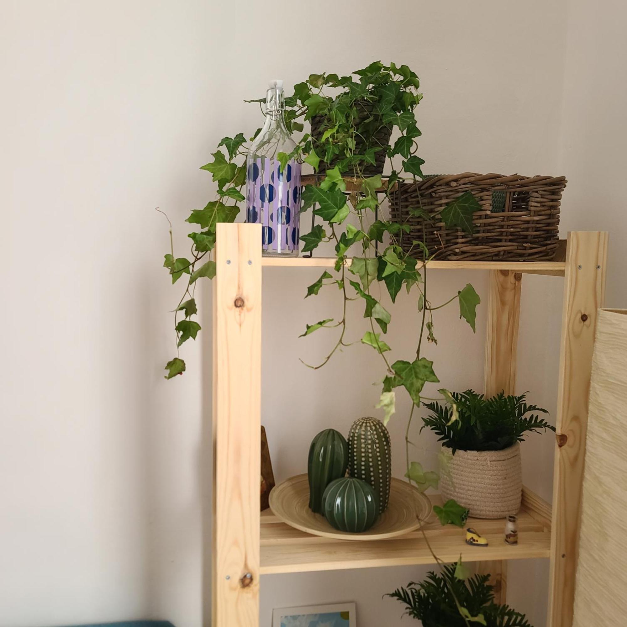 Mariamora Apartment Bari Zewnętrze zdjęcie